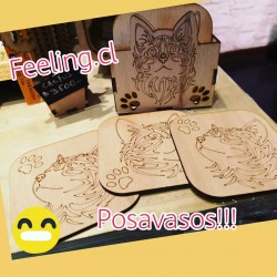 Posavasos de gatitos